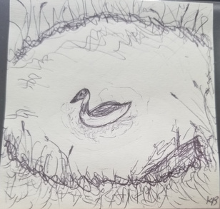 Post-It Art: Cooper in the pond (August 2026)
