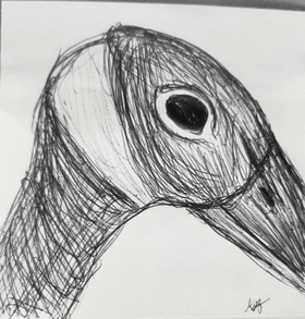 Cooper the Goose (July 2026)