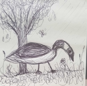 Post-It Art: Cooper foraging (August 2026)