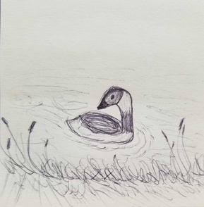 Post-It Art: Cooper in the pond (August 2026)