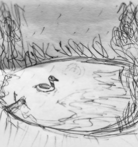 Post-It Art: Cooper in the Pond (September 2026)